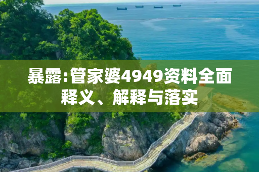 暴露:管家婆4949资料全面释义、解释与落实