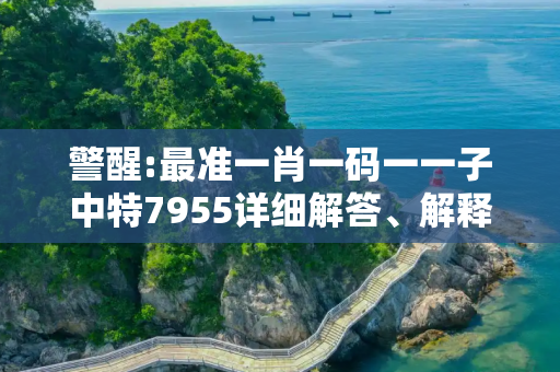 警醒:最准一肖一码一一子中特7955详细解答、解释与落实