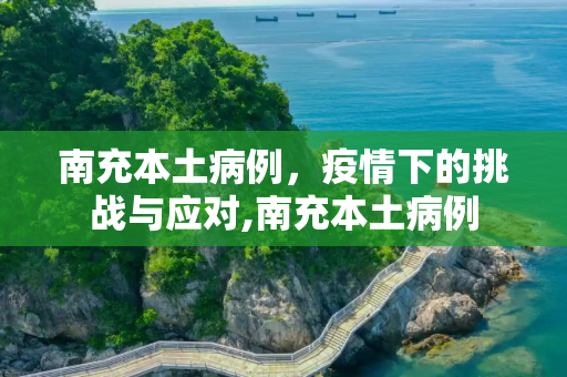 南充本土病例，疫情下的挑战与应对,南充本土病例