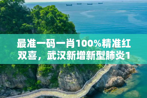 最准一码一肖100%精准红双喜，武汉新增新型肺炎136例