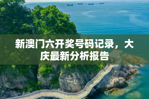 新澳门六开奖号码记录，大庆最新分析报告