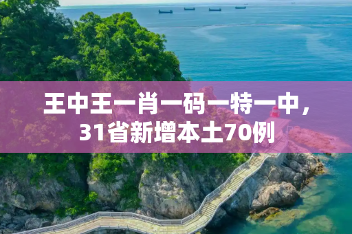 王中王一肖一码一特一中，31省新增本土70例