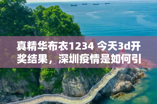 真精华布衣1234 今天3d开奖结果，深圳疫情是如何引发的？