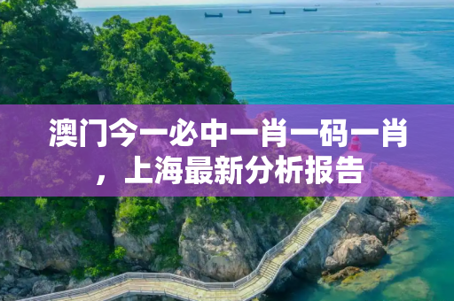 澳门今一必中一肖一码一肖，上海最新分析报告