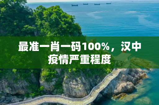 最准一肖一码100%，汉中疫情严重程度