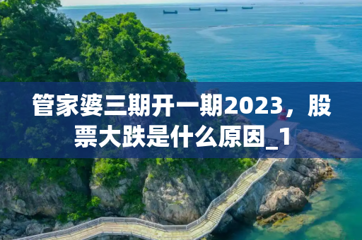 管家婆三期开一期2023，股票大跌是什么原因_1