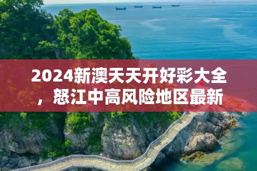 2024新澳天天开好彩大全，怒江中高风险地区最新