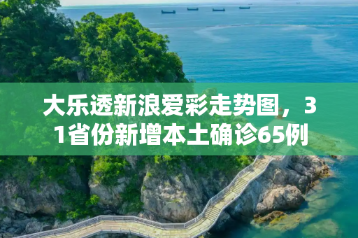 大乐透新浪爱彩走势图，31省份新增本土确诊65例