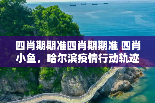 四肖期期准四肖期期准 四肖小鱼，哈尔滨疫情行动轨迹