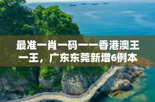最准一肖一码一一香港澳王一王，广东东莞新增6例本土确诊