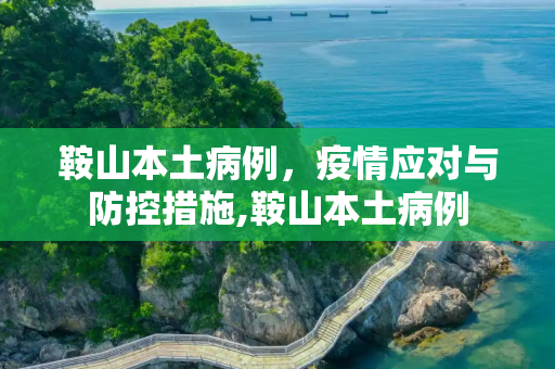鞍山本土病例，疫情应对与防控措施,鞍山本土病例