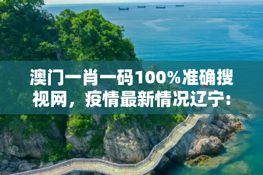 澳门一肖一码100%准确搜视网，疫情最新情况辽宁:疫情最新数据消息 辽宁