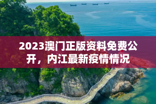 2023澳门正版资料免费公开，内江最新疫情情况