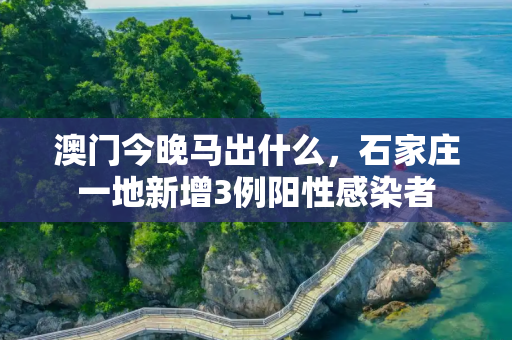澳门今晚马出什么，石家庄一地新增3例阳性感染者