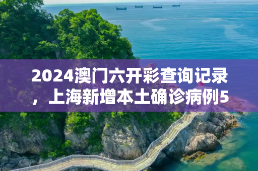 2024澳门六开彩查询记录，上海新增本土确诊病例5例的简单介绍