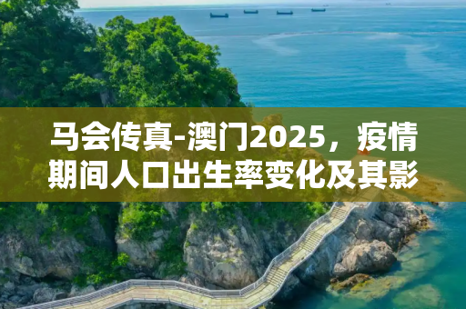 马会传真-澳门2025，疫情期间人口出生率变化及其影响分析