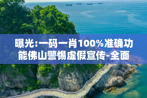 曝光:一码一肖100%准确功能佛山警惕虚假宣传-全面释义