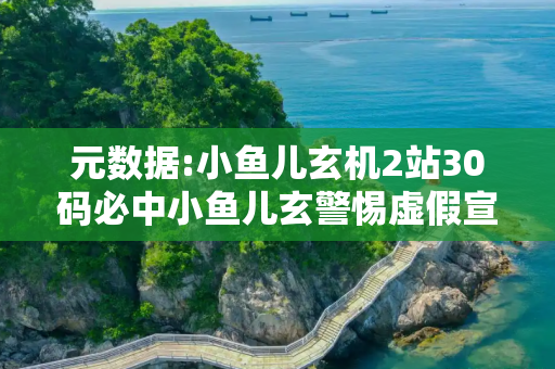 元数据:小鱼儿玄机2站30码必中小鱼儿玄警惕虚假宣传-全面释义