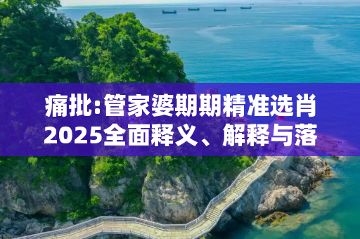 痛批:管家婆期期精准选肖2025全面释义、解释与落实
