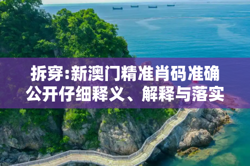拆穿:新澳门精准肖码准确公开仔细释义、解释与落实
