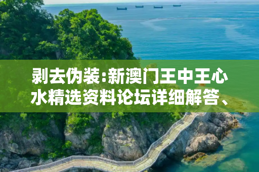 剥去伪装:新澳门王中王心水精选资料论坛详细解答、解释与落实