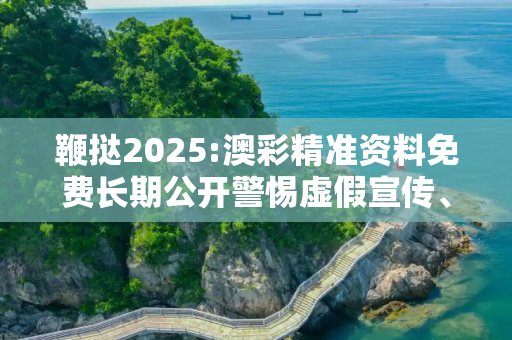 鞭挞2025:澳彩精准资料免费长期公开警惕虚假宣传、全面解答与解释