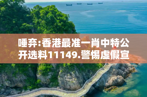 唾弃:香港最准一肖中特公开选料11149.警惕虚假宣传、全面解答与解释