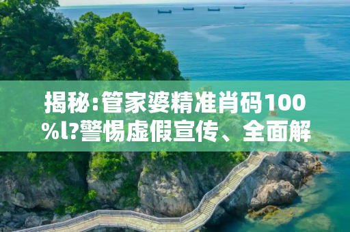 揭秘:管家婆精准肖码100%l?警惕虚假宣传、全面解答与解释