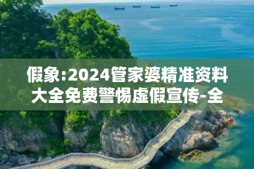 假象:2024管家婆精准资料大全免费警惕虚假宣传-全面释义