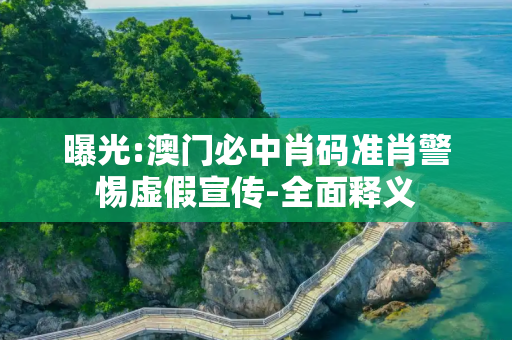 曝光:澳门必中肖码准肖警惕虚假宣传-全面释义