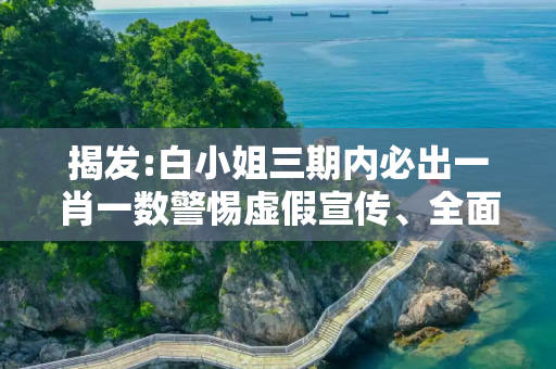 揭发:白小姐三期内必出一肖一数警惕虚假宣传、全面解答与解释