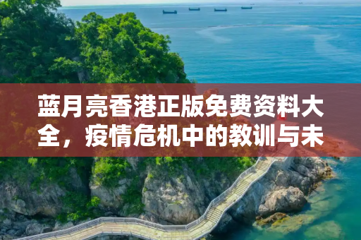 蓝月亮香港正版免费资料大全，疫情危机中的教训与未来之路