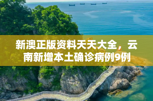 新澳正版资料天天大全，云南新增本土确诊病例9例