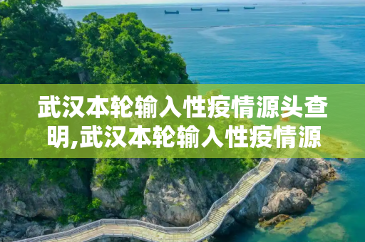 武汉本轮输入性疫情源头查明,武汉本轮输入性疫情源头查明