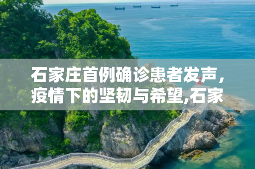 石家庄首例确诊患者发声，疫情下的坚韧与希望,石家庄首例确诊患者发声