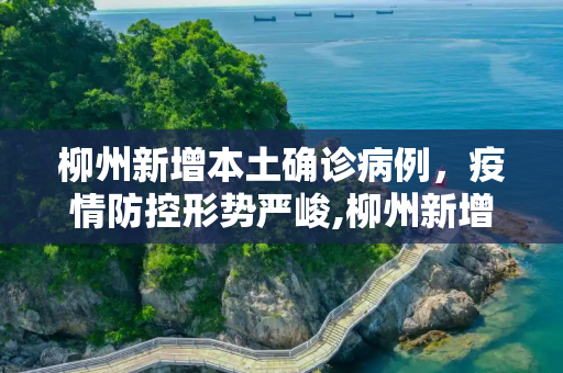 柳州新增本土确诊病例，疫情防控形势严峻,柳州新增本土确诊
