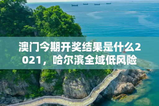 澳门今期开奖结果是什么2021，哈尔滨全域低风险
