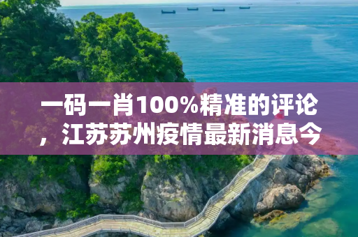 一码一肖100%精准的评论，江苏苏州疫情最新消息今天
