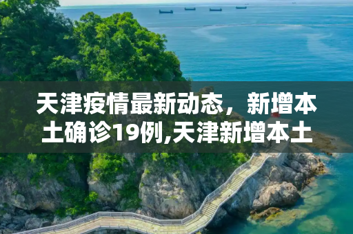 天津疫情最新动态，新增本土确诊19例,天津新增本土确诊19例