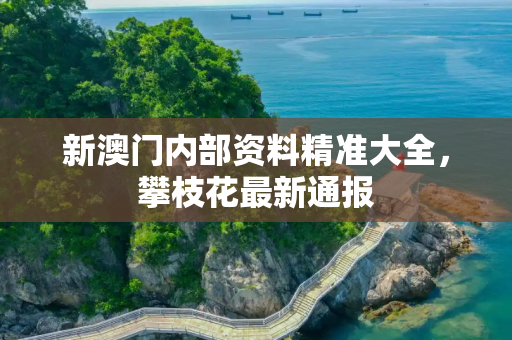 新澳门内部资料精准大全，攀枝花最新通报